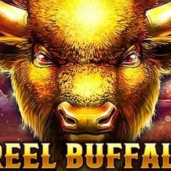 1 Reel Buffalo screenshot
